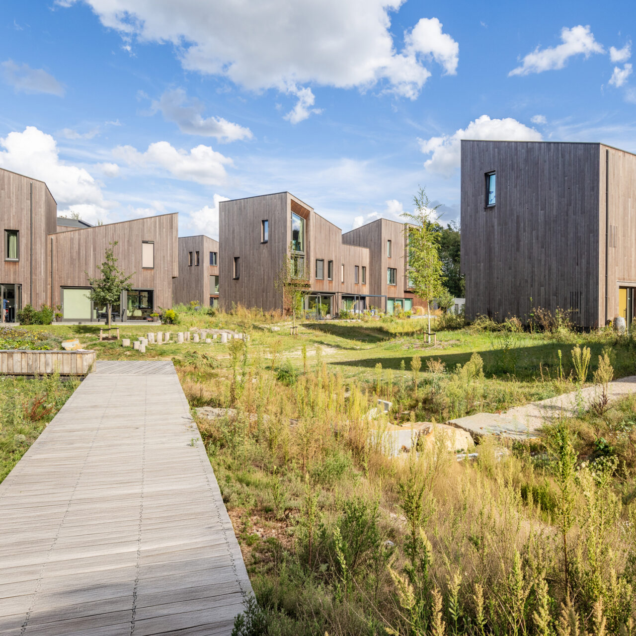 Bosvallei – Eindhoven